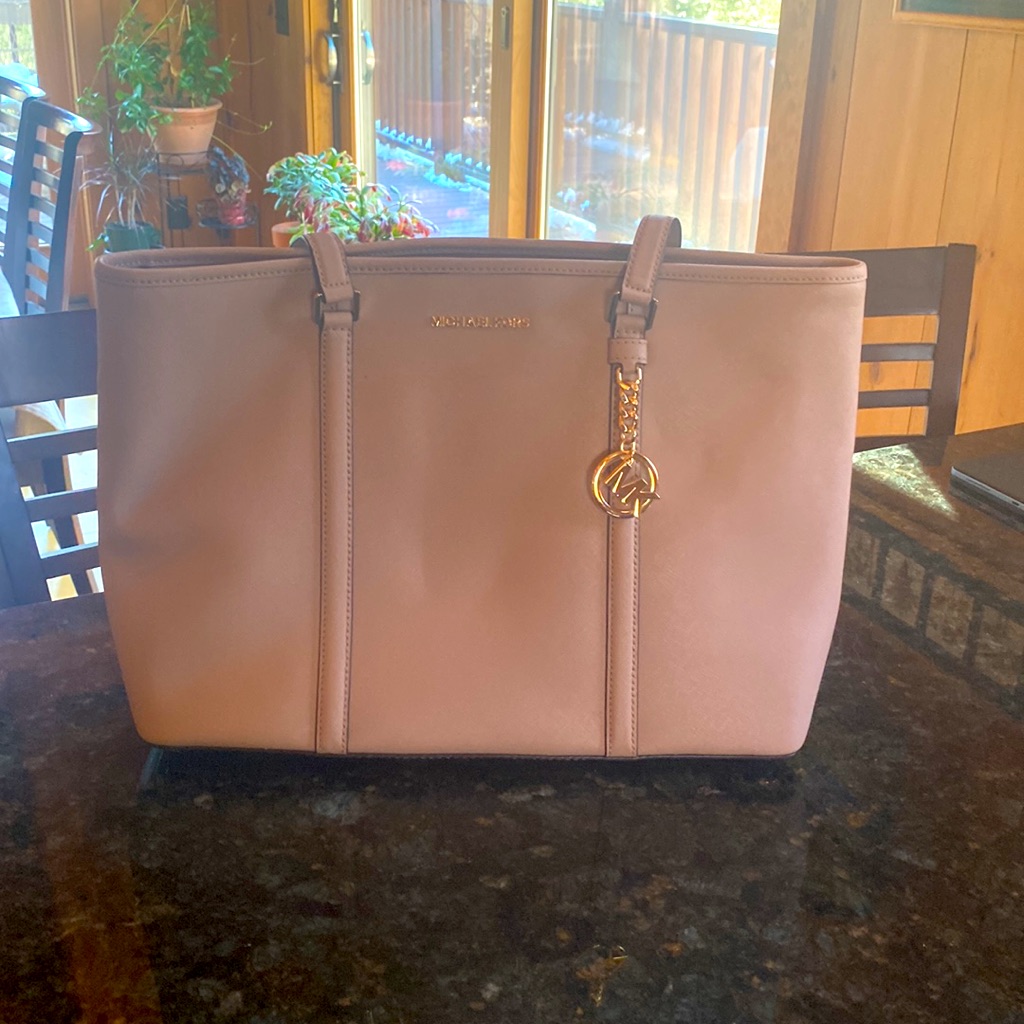 Michael Kors Blush Sady Tote Bagnwts